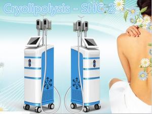 Wholesale SHC-2 slimming fat freezing slimming beauty machine from china suppliers