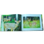 Gentle Souls Of The Forest Hardcover Coffee Table Book