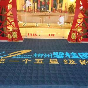 China Outdoor Brush Commercial Entrance Mats Scraper Logo Floor Mat on sale
