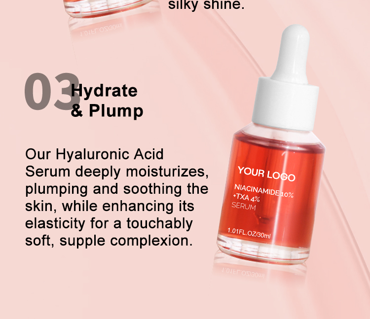 Private Label Niacinamide 10 and Txa 4 Serum Dark Spot Aha Organic Moisturizing Rejuvenating Niacinamide Face Care Serum