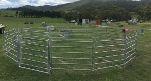 Wholesale Horse Round Yard panel inc gate Livestock Cattle Sheep Oval Rail holding yard from china suppliers