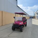 6 Seater Pink Electric Golf Cart With Lead Acid Battery