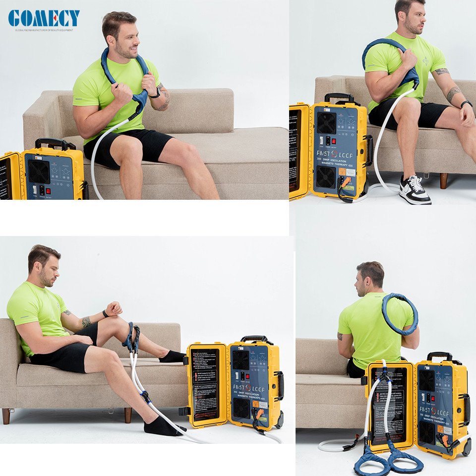 PMST Loop Mat Pemf Magnetic Pulsed Field Magnetic Therapy Human Pain Relief