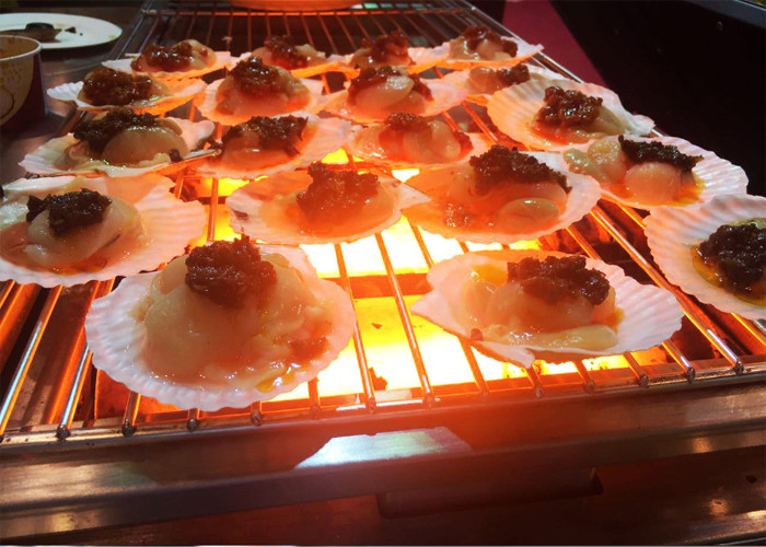 Portable Small Barbecue Grill Roast Oyster Grill Equipment