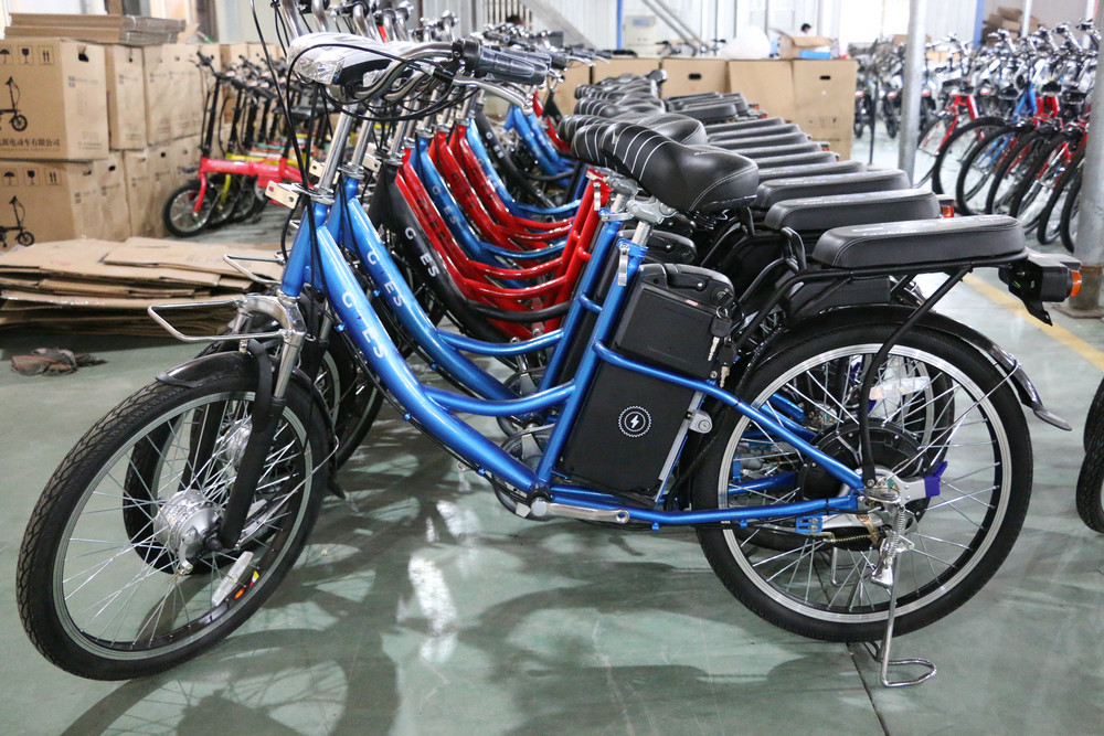 25km/H Pedal Assist Electric Bicycle 36V 250W For Adult And Child