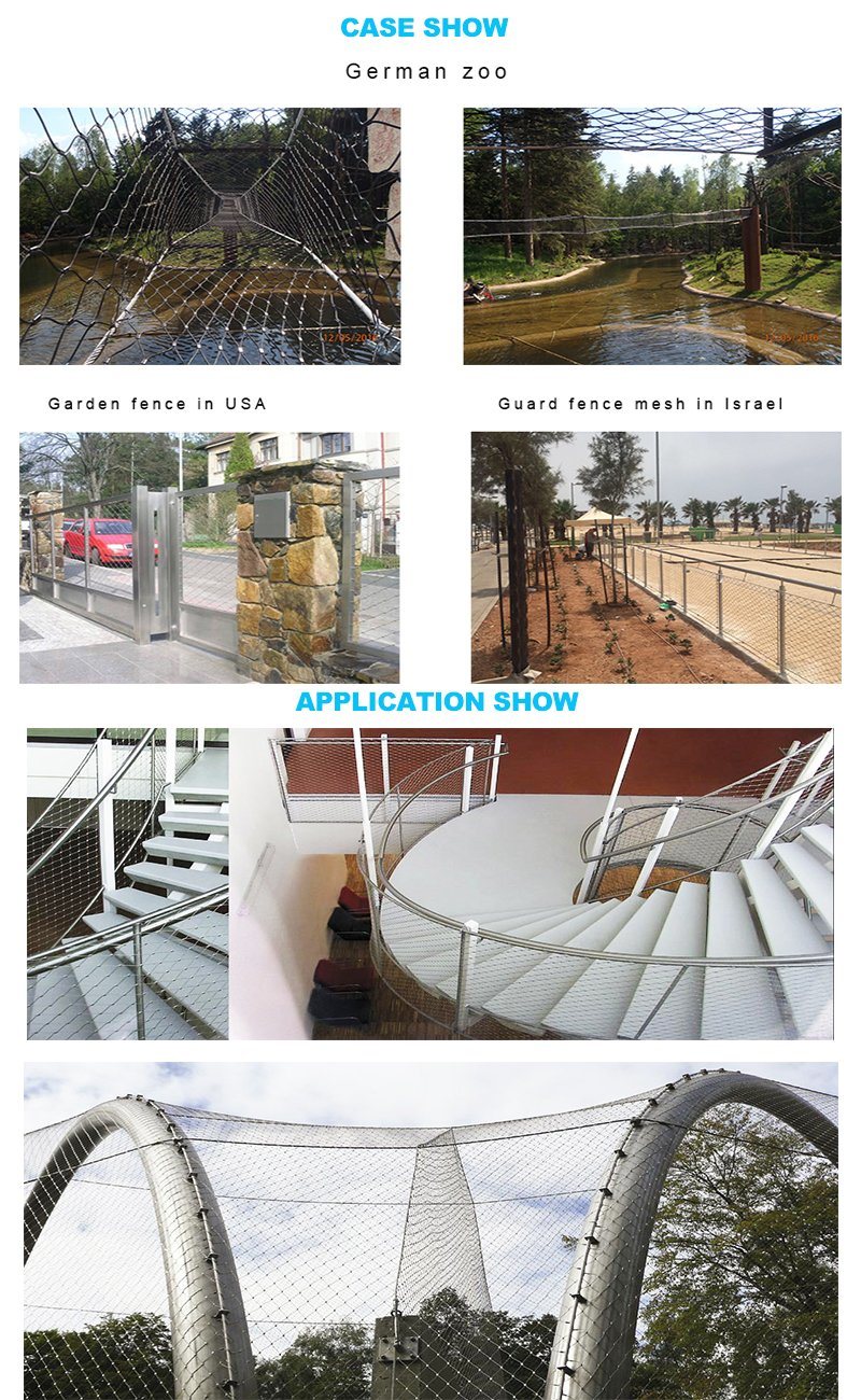 Stainless Steel 304 316 Wire Mesh Bird Netting Climbing Plant Mesh