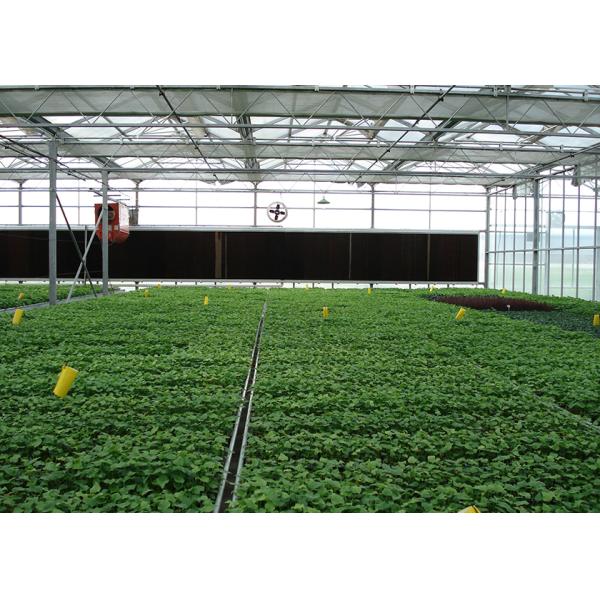 Polycarbonate Greenhouse Sheet with Customized Length and 9.6 Meter Tunnel Width