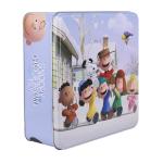 Colorful tin box, decorative tin, metal packaging, promotional tin, customized