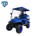 48V / 72V ESP Street Legal Golf Cart with NAVITAS Motor and controller