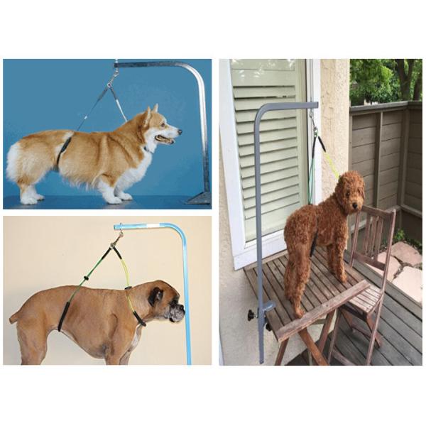 Eco Friendly Dog Grooming Table Harness Adjustable Loop Noose
