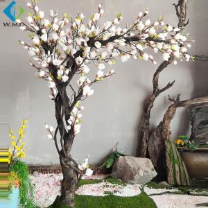 Wholesale 2m Artificial Magnolia Tree , Silk Magnolia Flowers 5-10 Years Life Time from china suppliers