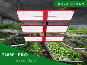 Wholesale 720w 3000k 5000k Full Spectrum Led Grow Light Samsung 301h 1872Umol/s from china suppliers