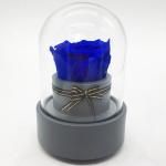 Long Lasting Preserved Roses In Bluetooth Music Glass Dome For Birthday