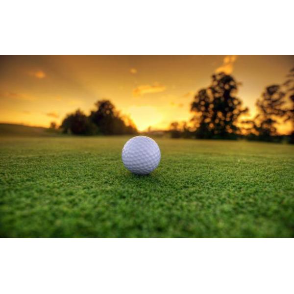 HIGH QUALITY DOWCROP HOT SALE SEAWEED EXTRACT GRANULAR 100% WATER SOLUBLE FERTILIZER DARK BROWN ORGANIC FERTILIZER