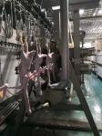 2000BPH Poultry Butchering Equipment SS 304 Automatic Chicken Slaughter Line