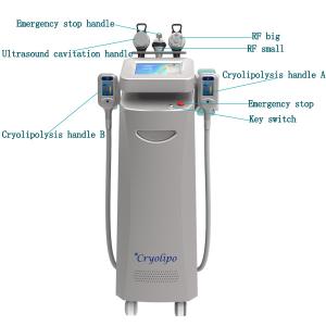 Wholesale Hot sale CE approved Cryolipolysis fat freeze slimming / 5 cryo handles body slimming weight loss beauty machine from china suppliers