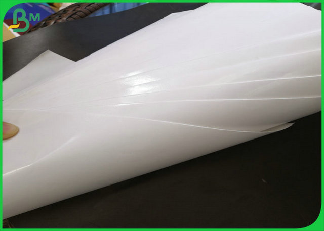 PE coated food grade paper