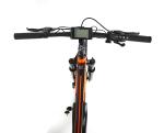 Single Speed Alloy Frame Mountain Bike 48V Lithium Battery Electric 750W Mid