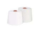 Virgin Raw White Yarn Low - Elongation , 202 Spun Single Ply Polyester Twisted