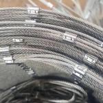 Zoo Mesh