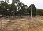 cattle panels for sale NSW