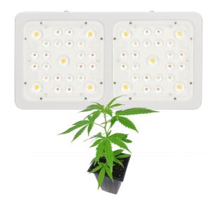 Wholesale Silent Fans Artificial Plant Light , Heat Dissipation High Output Led Grow Lights from china suppliers