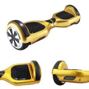 China Gold Mini 2 Wheel Electric Standing Scooter 250W Stand On Scooter With 2 Wheels on sale
