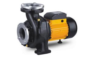 China Single Stage Nfm Series Electric Centrifugal Pump , Pool High Volume Electric Water Pump on sale