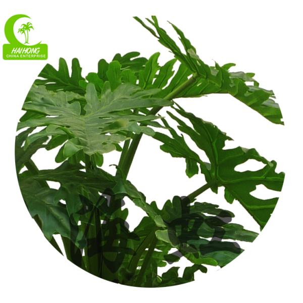 SPLIT PHILO PLANT X3