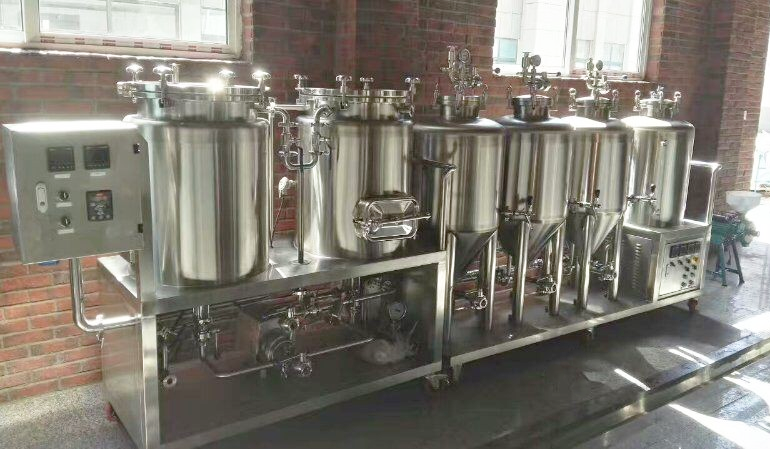 3mm Inner Thickness Beer Fermenter Processing Types Brewery Equipment for Small Brewery