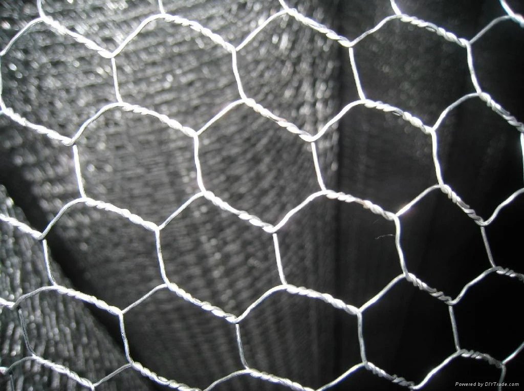 1/2" 3/8" 3/4" 1" Galvanized Hexagonal Chicken Wire Mesh