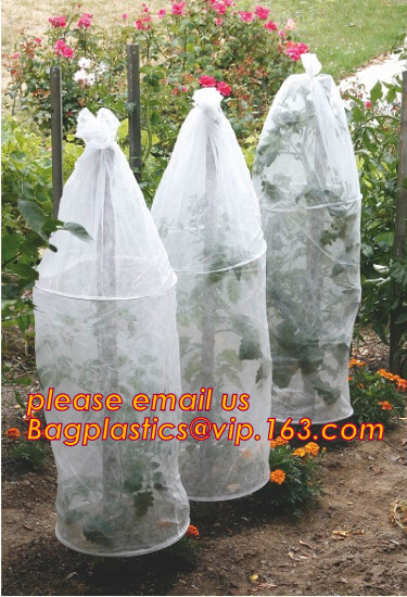 high light transmittance solar control seeding nursery greenhouse covers,100% virgin LDPE protective single layer cucumb