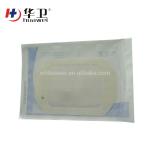 Waterproof Transparent Sterile Medical I.V. Cannula Dressing