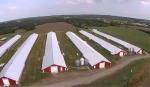 Q235B Q355B Carbon Steel Poultry House Prefabricated Steel Structure Farm House