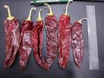 Whole Paprika Red Pepper Grade A With 1