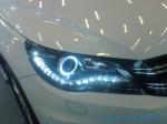 2010 VOLKSWAGEN TIGUAN 100% waterproof and shockproof HID Headlamps
