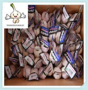 Wholesale New Crop Natural Garlic Price Fresh Garlic exporter Jinxiang from china suppliers