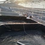 Outdoor Water Storage Tanks Our 0.5mm to 2.8mm Geomembrane is the Perfect Choice