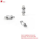 EV315-H EV315-L 3E / 3EB / 3ED Road vehicle fuses DC500V 10A-50A Electric car