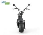 Fat Tire 2 Wheel Electric Scooter With Optional Lithium Battery LT018