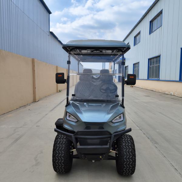 Street Legal Custom Gray Blue Utility Electric Golf Cart 6 Seater Family Lithium
