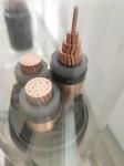 Outdoor Chemical Corrosion Resistant Flexible Armored Cable Resistance