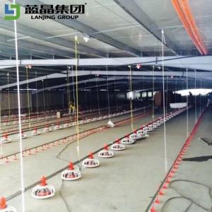 Wholesale Large Span Steel Structure Poultry House Factory High Strength Steel ISO from china suppliers