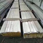 Q195 Q235 Q345 Carbon Steel Flat Bar 1055 Hot Dipped Galvanized Flat Steel Bar