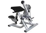 Life Fitness Biceps Curl Hammer Strength Exercise Machine Color Customized