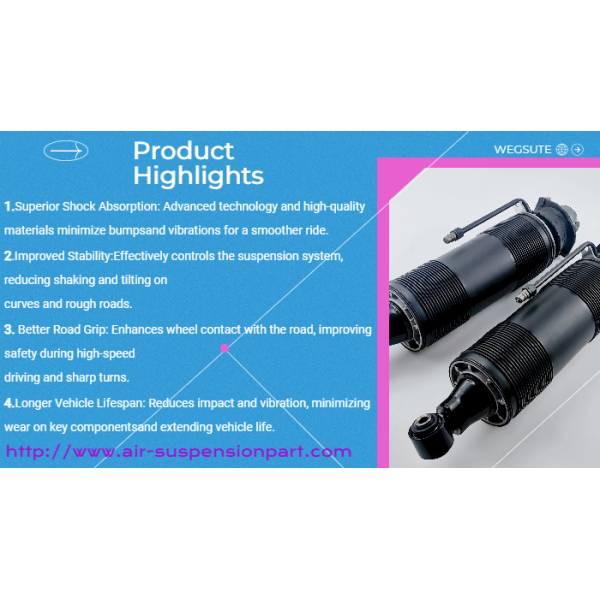 ABC Rear Left Suspension Strut Shock Absorber Mercedes S-Class A2303200213 High-Quality OEM Replacement