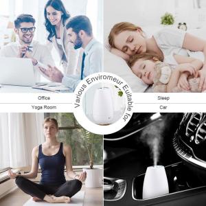 Usb Household Double Switch Air Purifying Aroma Diffuser