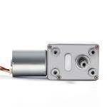 Faradyi Customized 12V 24V 2-150RPM Micro Brushless DC Worm Gear Motor Speed