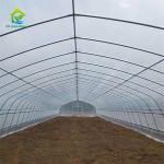 Serre Gothique 240m2 Poly Tunnel Greenhouse Economical Gothic Arch Greenhouse