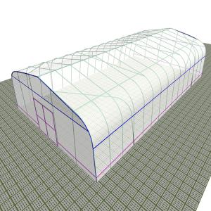 Agricultural Plastic Polytunnel Greenhouse For Vegetables And Seeding